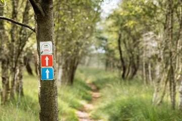 Hiking