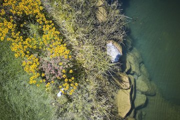Natural pool