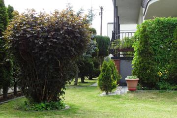 Photo 64