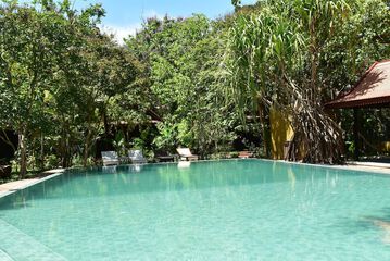 Natural pool