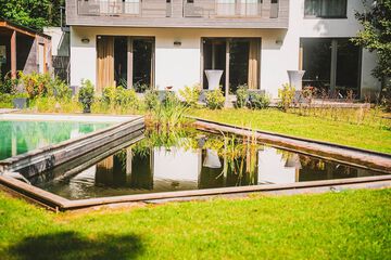 Natural pool