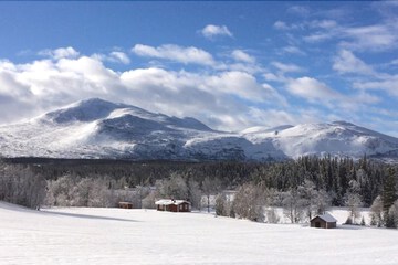 Mountain view