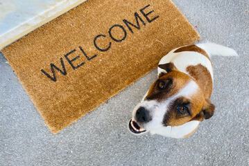 Pet-friendly