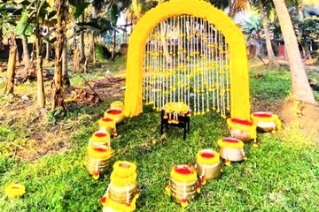 Outdoor wedding area