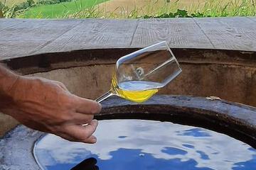 Vineyard