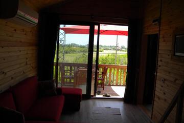Photo 43
