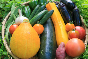 #HomegrownVegetables_Look forward to the hostess's creative dishes made with plenty of seasonal summer vegetables♪