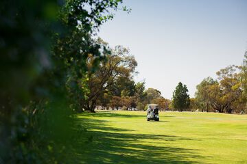Golf cart