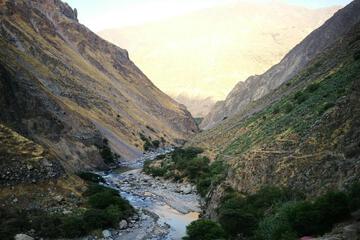 Photo 44