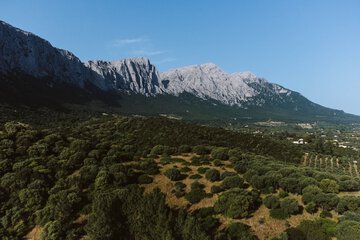 Hiking