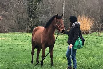 Ecotours
