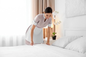 Cleanliness standards