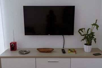 Television
