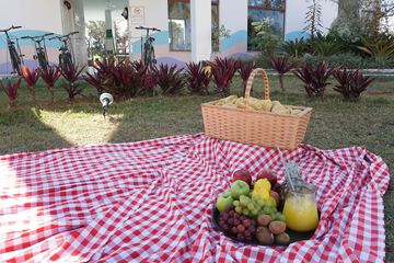 BBQ/picnic area