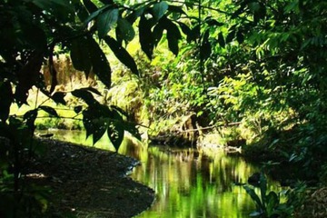 Lake