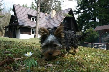 Photo 21