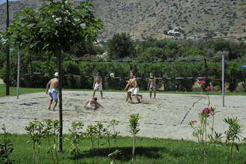 Sport court
