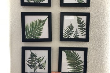 Breakfast/Coffee Service 63 of 76