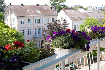 Rooftop terrace