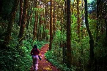 Hiking