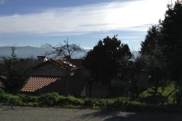 Photo 61