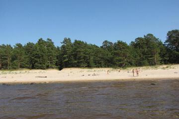 Photo 33