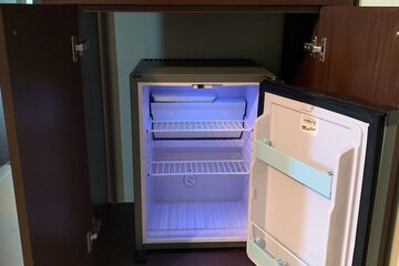 Mini-refrigerator