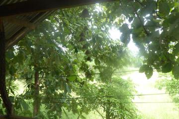 Photo 57