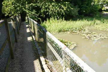 Photo 35