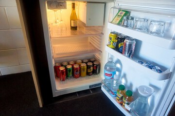 Mini-refrigerator
