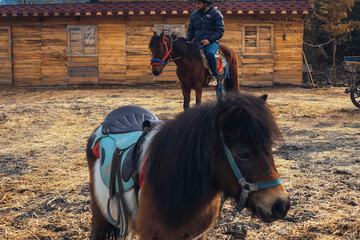 Horseback riding
