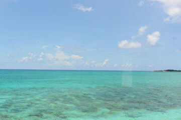 Beach or Ocean View