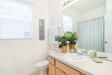 Bathroom sink