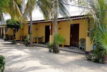 Terrace or Patio