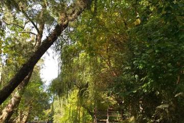 Photo 42