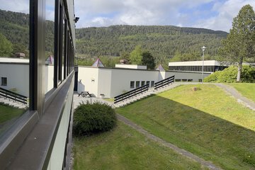 View from room