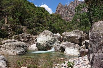 Photo 44