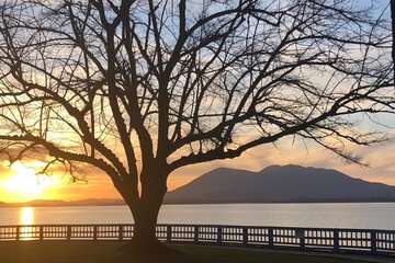 Land view from property