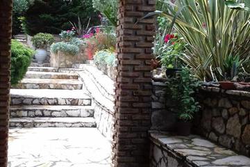 Photo 25