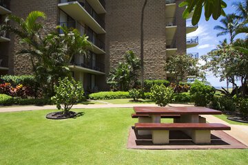 BBQ/picnic area