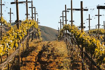 Winery