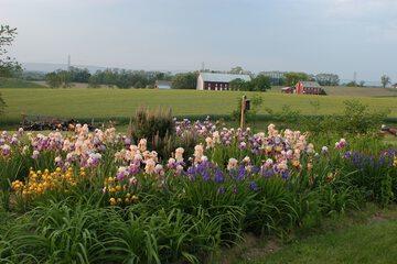 Property Grounds 59 of 62