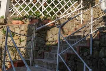 Photo 53