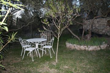 Photo 35