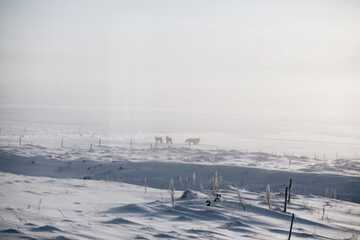 Land view from property