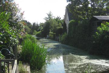 Photo 45