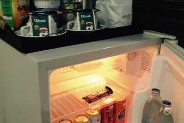 Mini-refrigerator