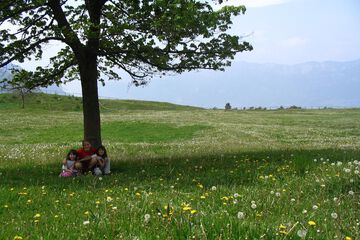 Children's activities