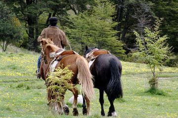 Horseback riding