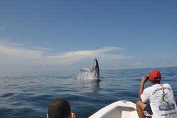 Ecotours